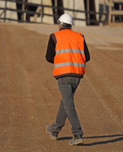 worker with the Orange high visibility jacket